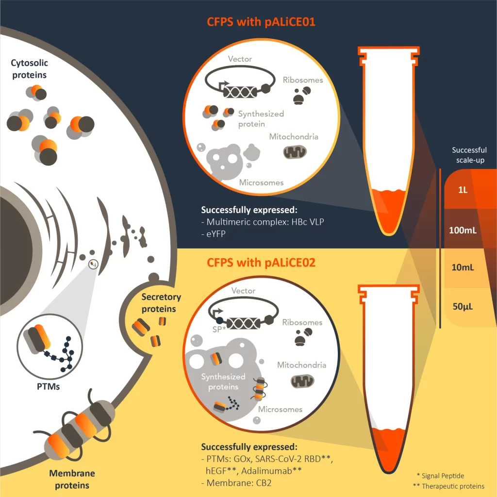 Leniobio_figure2_VF2_modified-1920w