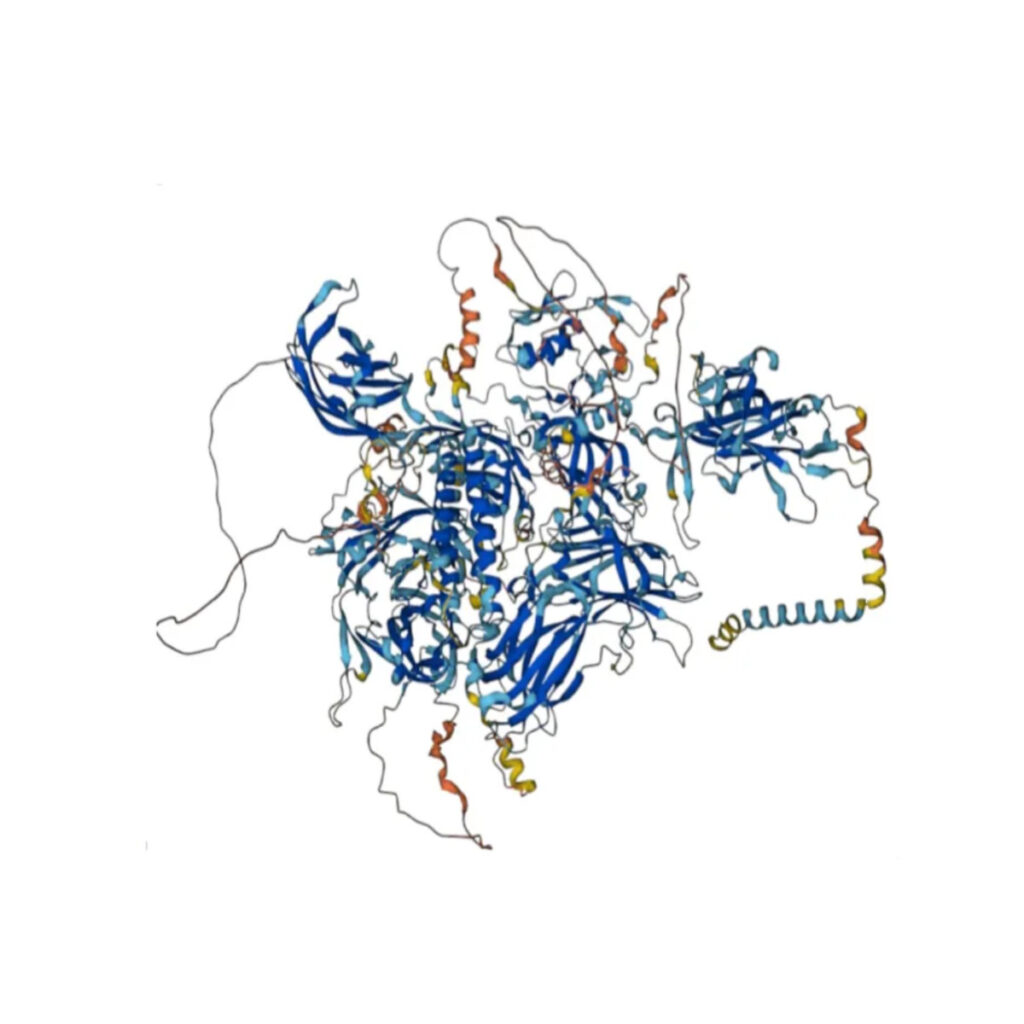 Otoferlin Protein